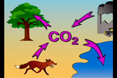 Le cycle du carbone - Les principales étapes - 13mn 04s